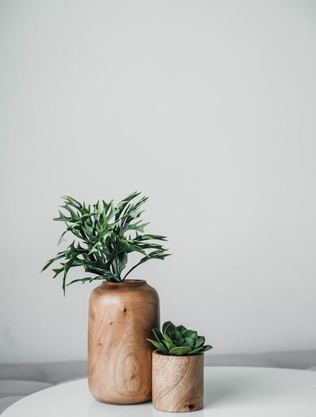 Wooden Planter Set